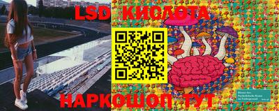 ПСИЛОЦИБИНОВЫЕ ГРИБЫ Бузулук