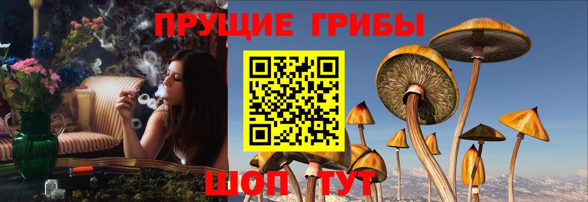 Галлюциногенные грибы Magic Shrooms Мичуринск