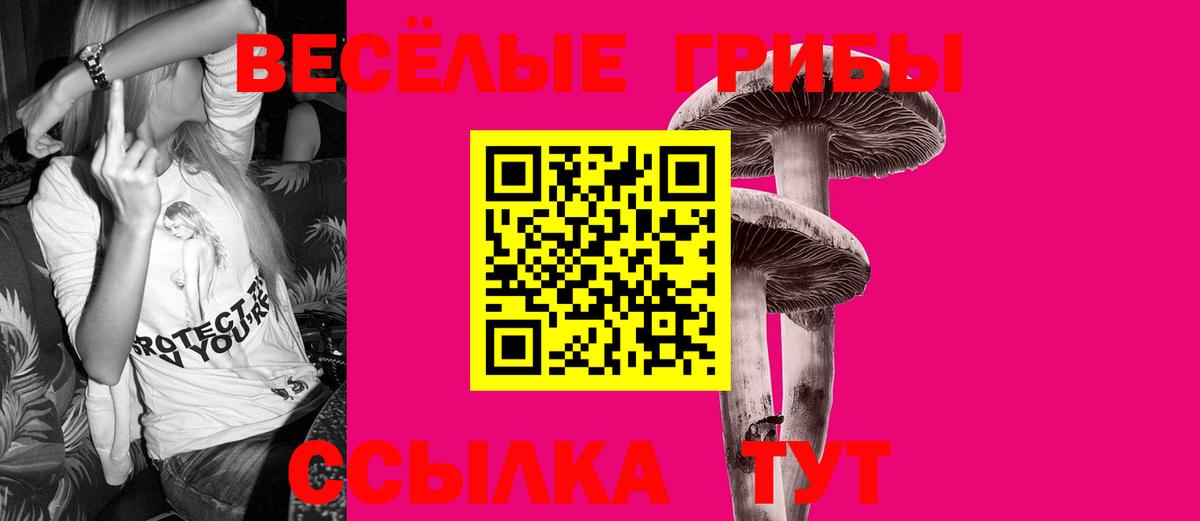 Мичуринск  Галлюциногенные грибы MAGIC MUSHROOMS  Вход с VPN 