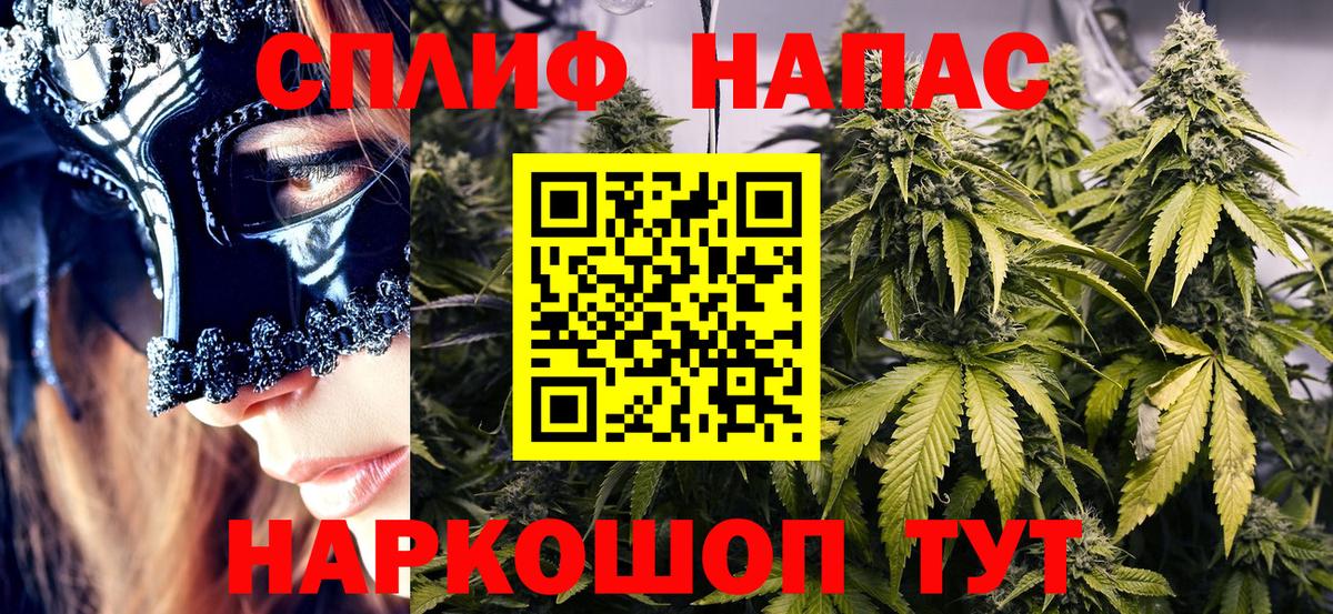 Мичуринск  Конопля Bruce Banner  Вход с VPN  Бошки Шишки планчик 